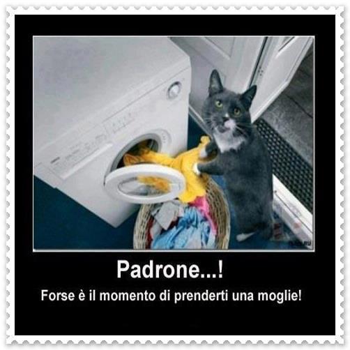 Immagine Divertente - 03/03/2013