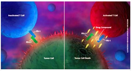 FARE IL DIGIUNO: LA PIU' POTENTE TECNICA DI GUARIGIONE - 03/04/2017