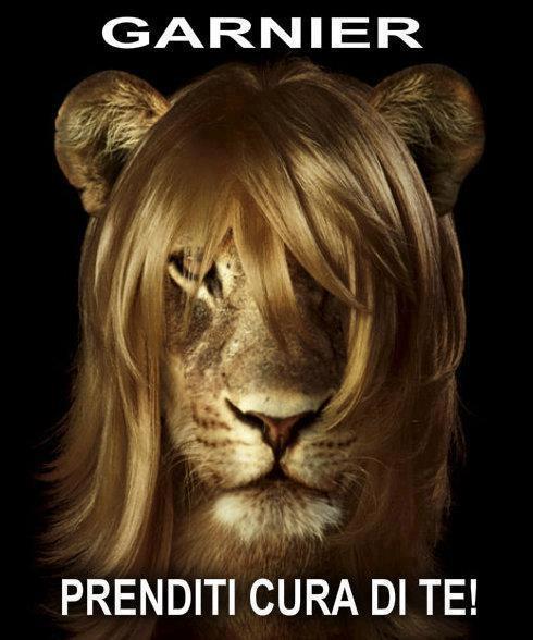 Immagine Divertente - 07/03/2013