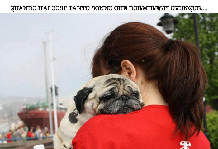 Immagine Divertente - 03/03/2013
