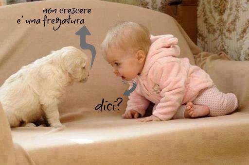 Immagine Divertente - 03/03/2013