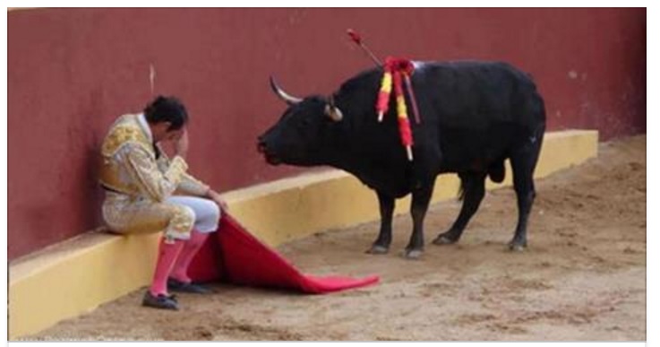 IL TORERO SI ACCASCIA COLTO DA MALORE, IL TORO SI AVVICINA MA CIO' CHE FA L'ANIMALE E' A DIR POCO STRUGGENTE - UNA LEZIONE PER NOI BESTIE UMANE - 06/09/2017