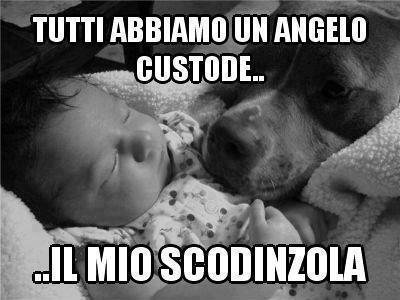 Immagine Divertente - 11/03/2013