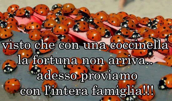 PROVAMO COSI' !! - 11/03/2013