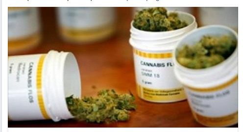 E' UFFICIALE: LA CANNABIS ARRIVA NELLE FARMACIE ITALIANE - 24/05/2016