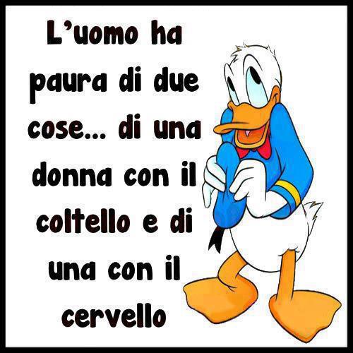 Immagine Divertente - 03/05/2013