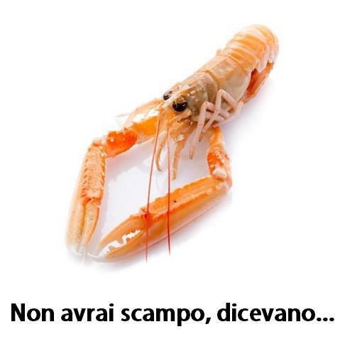 Immagine Divertente - 03/05/2013