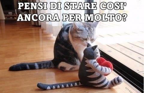 Immagine Divertente - 07/05/2013