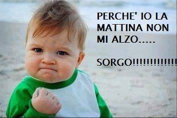 Immagine Divertente - 01/07/2013