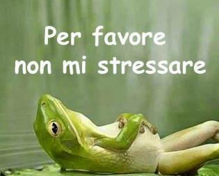 VEDI CHE POI FA !! - 05/09/2012