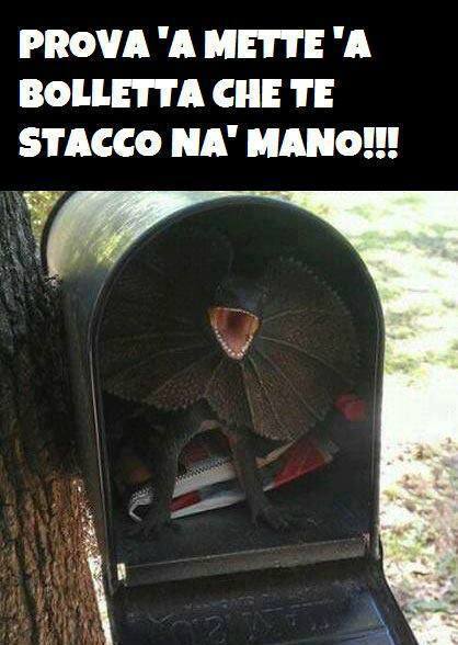 NUN CE PROVA' !! - 25/07/2013