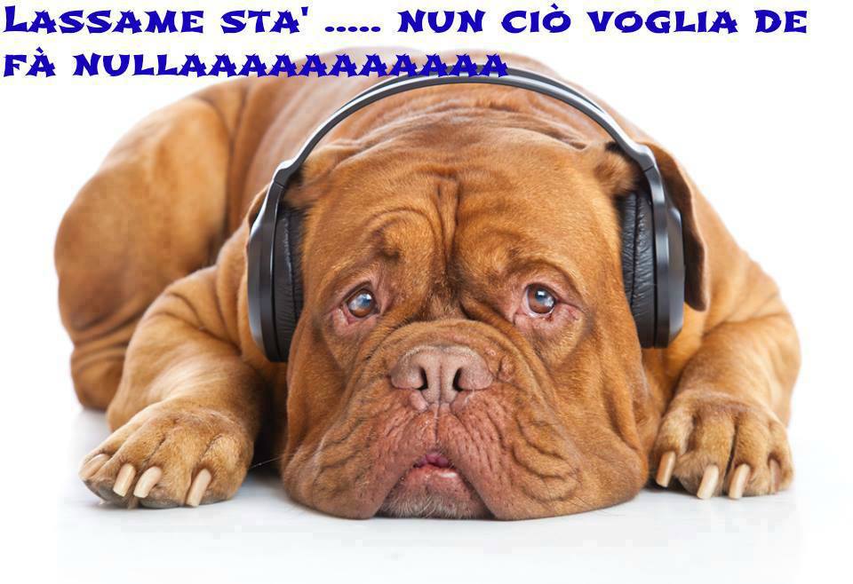 Immagine Divertente - 29/07/2013