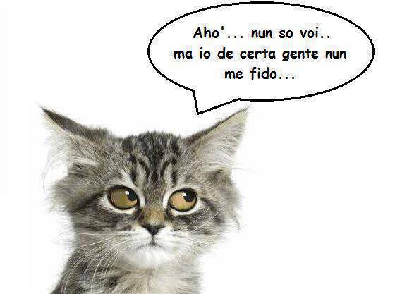 Vignetta Divertente - 03/08/2013