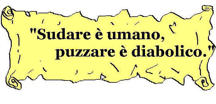 Immagine Divertente - 04/08/2013
