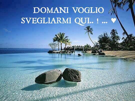 Immagine Divertente - 04/08/2013