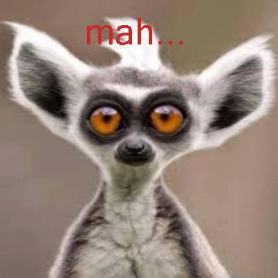 Immagine Divertente - 04/09/2013