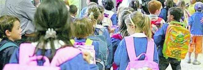 ROMA, RAZZIE DEI LADRI E TOPI NEGLI ASILI E NELLE SCUOLE - 01/10/2013