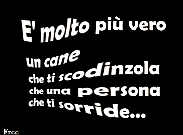 Immagine Divertente - 05/04/2013