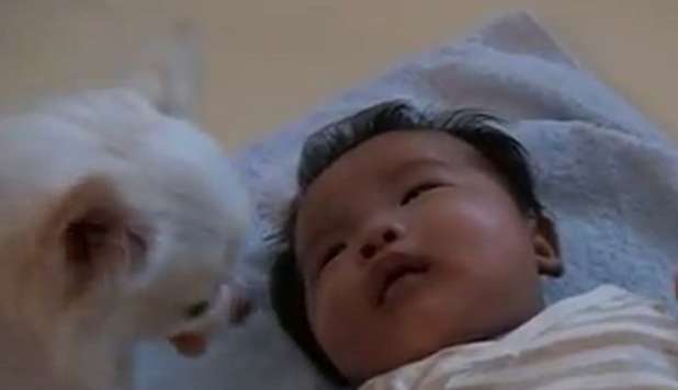 BIMBO PIANGE E IL CANE LO CONSOLA,  IL VIDEO FA INTENERIRE IL WEB -GUARDA - 02/10/2012