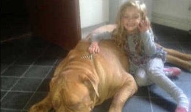 4 ANNI, MUORE SBRANATA DAL SUO CANE. LA MADRE: ''LA SCUOTEVA COME UNA BAMBOLA'' - 06/11/2013