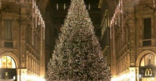 RUBATO L'ALBERO DI NATALE SISTEMATO IERI SERA NELLA GALLERIA UMBERTO I - 26/11/2013
