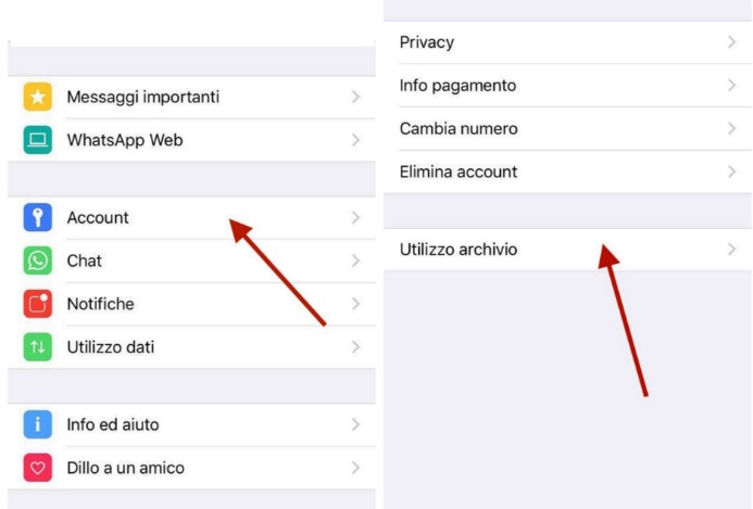 ECCO COME SCOPRIRE SE IL TUO PARTNER TI TRADISCE SU WHATSAPP CON UNA SEMPLICE MOSSA - 23/11/2016