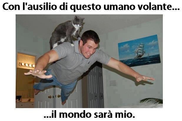 SEMO IMBATTIBILI !! - 20/11/2012