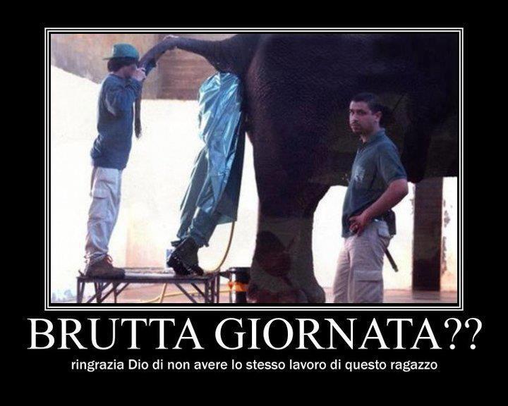'NA BRUTTA GIORNATA ?? - 19/12/2012