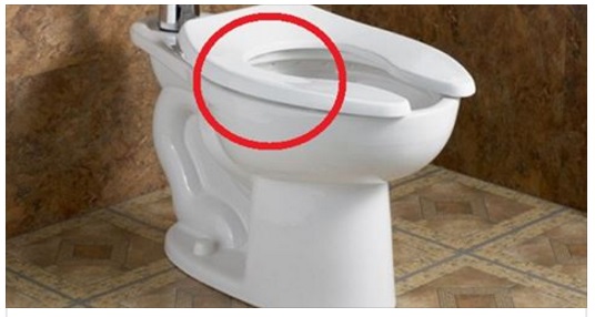 IL 99% DELLE PERSONE RISCHIA MOLTO PERCHE' SBAGLIA AD USARE LO SCIACQUONE DEL WATER: ECCO PERCHE' - 16/12/2016