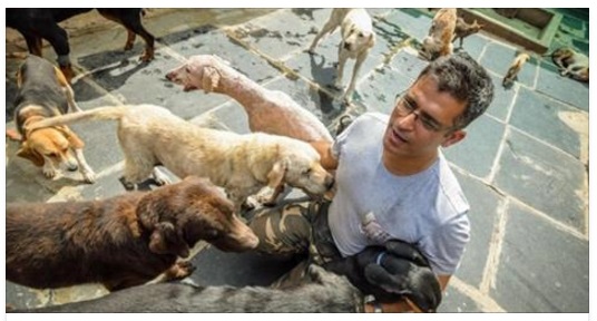 QUEST'UOMO SI PRENDE CURA DI 735 CANI: ''SPENDO QUASI 700 EURO AL GIORNO PER LORO'' - 20/12/2016