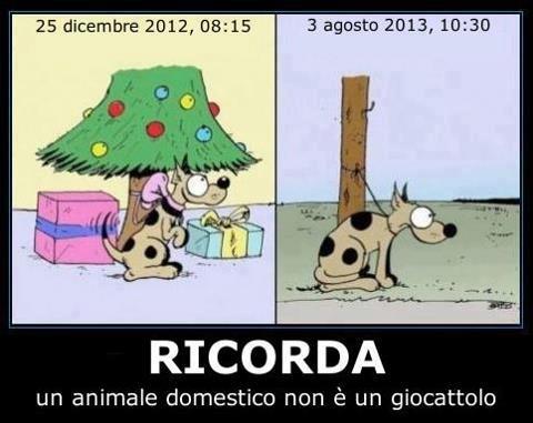 PENSACE BENE !! - 25/12/2012