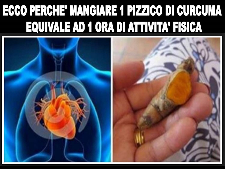 ECCO PERCHE' MANGIARE 1 PIZZICO DI CURCUMA EQUIVALE AD 1 ORA DI ATTIVITA' FISICA - 25/01/2018