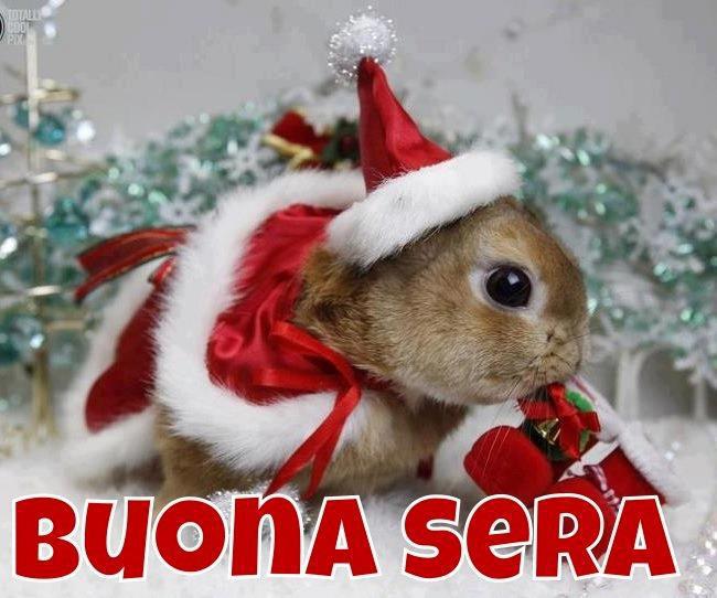 BUONA SERA E BUON NATALE A TUTTI L'AMICI !! - 25/12/2012