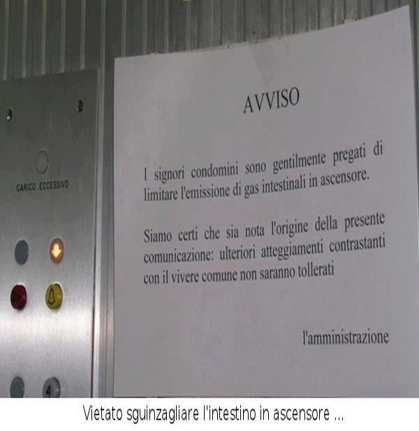 Immagine Divertente - 23/01/2013