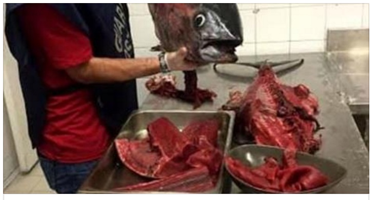 ROMA, LA PERICOLOSA SCOPERTA SUL PESCE IN UN NOTO RISTORANTE GIAPPONESE - 18/05/2017