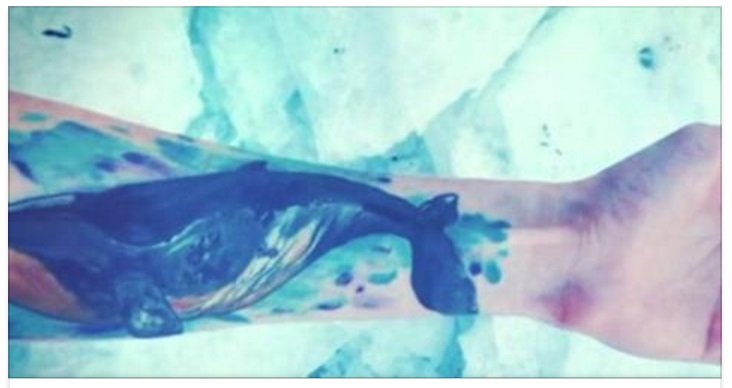 BLUE WHALE - NUOVO ALLARME SU WHATSAPP: ''NON APRITE QUEL MESSAGGIO PER NESSUN MOTIVO'' - 23/05/2017