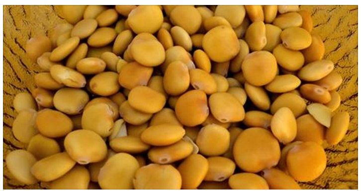 VI PIACCIONO I LUPINI? APPENA SAPRETE COSA ACCADE AL VOSTRO CORPO CORRERETE A COMPRARLI - 29/05/2017