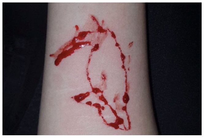 UN ALTRO CASO DI ''BLUE WHALE'' IN ITALIA: HA SOLI 12 ANNI ED ESULTAVA ''SONO ALLA DECIMA PROVA'' - 30/05/2017