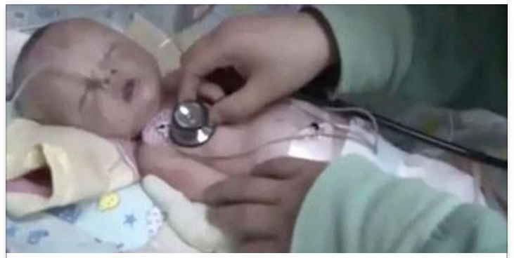 NEONATO SEPOLTO VIVO DALLA MADRE. UN CANE SENTE L'ODORE E LO SALVA - 30/05/2017