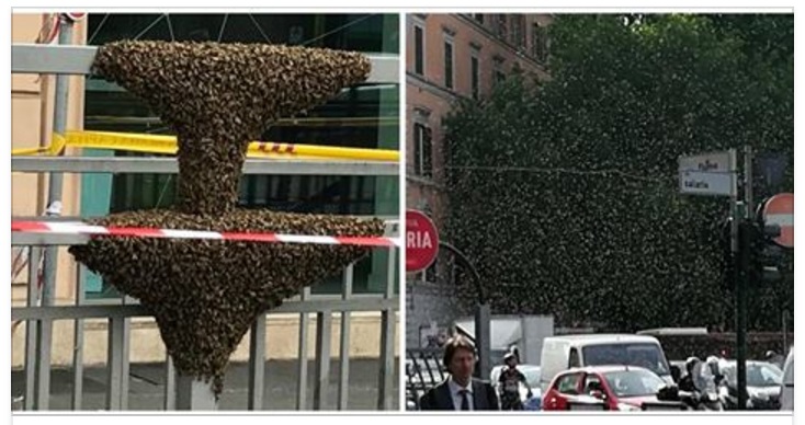 PAURA A ROMA, LA SCENA IMPRESSIONANTE IN PIAZZA - 06/06/2017