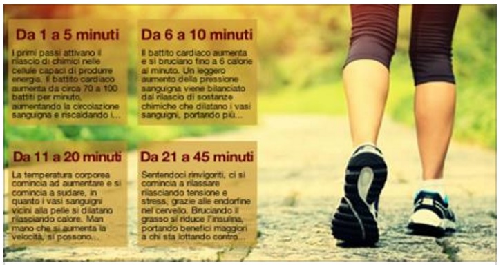 CAMMINARE FA BENE: COME CAMBIA IL TUO ORGANISMO A SECONDA DI QUANTO CAMMINI - 12/06/2017