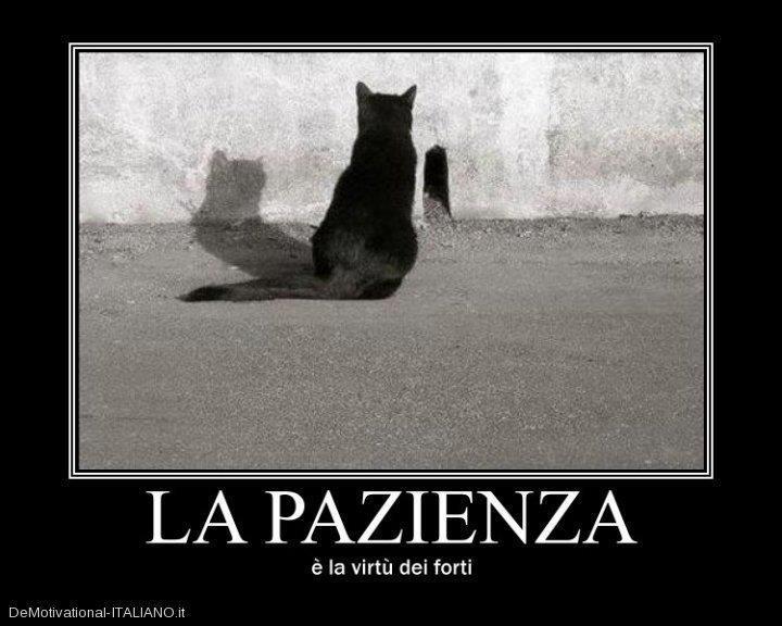 'A PAZIENZA !! - 17/11/2012