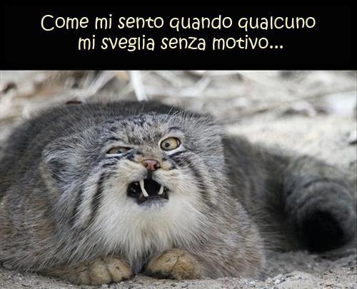 NUN TE CONVIE' !! - 17/11/2012