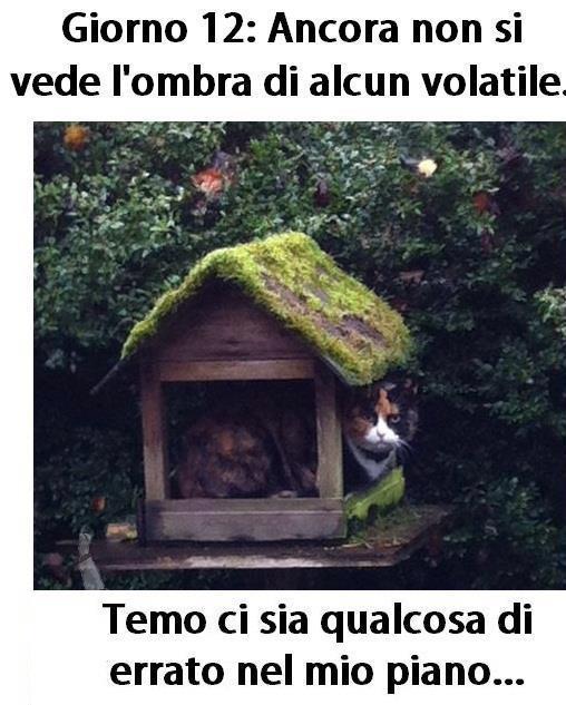 ME STA A VENI' ER DUBBIO !! - 17/11/2012