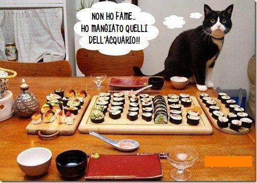 NUN HO FAME !! - 21/11/2012