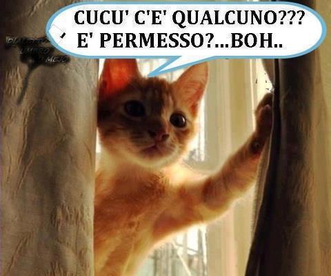 SE PO' !? - 21/11/2012