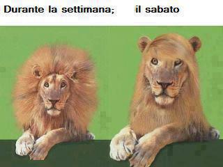 ME FACCIO BELLO !! - 22/11/2012