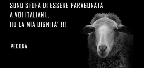 Immagine Divertente - 04/03/2013