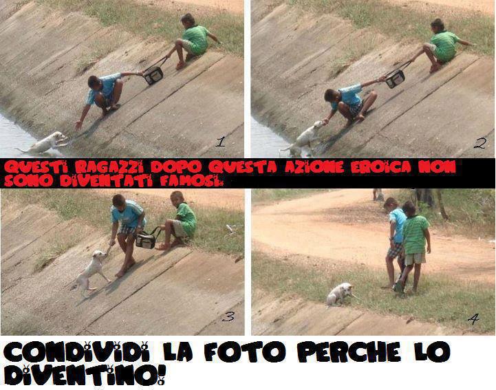 QUESTI SE CHIAMANO EROI !! - 25/11/2012
