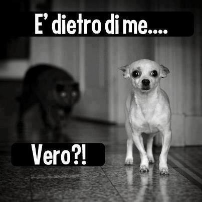 FAMME FA ER VAGO !! - 25/11/2012